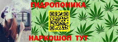 молекула духа Уссурийск