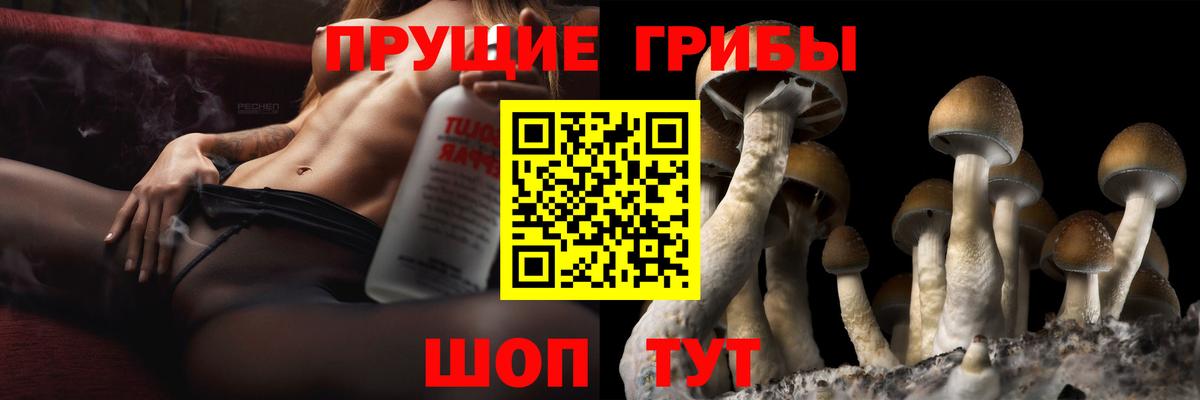 Галлюциногенные грибы мухоморы  Вход с VPN  где продают   Тихорецк  Галлюциногенные грибы прущие грибы 